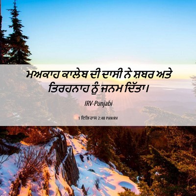 Picture 06 - 1 ਇਤਿਹਾਸ 2:48 PANIRV - ਮਅਕਾਹ ਕਾਲੇਬ ਦੀ - Bible Verse Picture