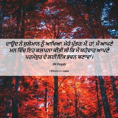 Picture 06 - 1 ਇਤਿਹਾਸ 22:7 PANIRV - ਦਾਊਦ ਨੇ ਸੁਲੇਮਾਨ - Bible Verse Picture