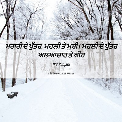 Picture 06 - 1 ਇਤਿਹਾਸ 23:21 PANIRV - ਮਰਾਰੀ ਦੇ ਪੁੱਤਰ, - Bible Verse Picture
