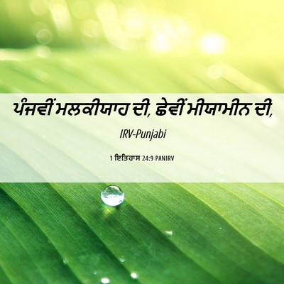Picture 06 - 1 ਇਤਿਹਾਸ 24:9 PANIRV - ਪੰਜਵੀਂ ਮਲਕੀਯਾਹ ਦੀ, - Bible Verse Picture