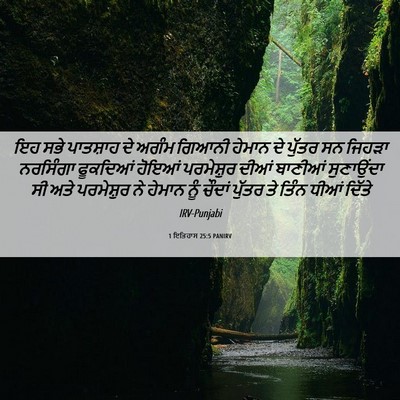Picture 06 - 1 ਇਤਿਹਾਸ 25:5 PANIRV - ਇਹ ਸਭੇ ਪਾਤਸ਼ਾਹ ਦੇ - Bible Verse Picture