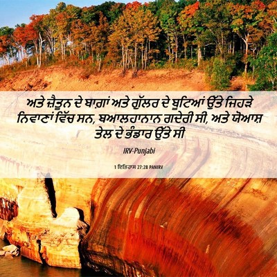Picture 06 - 1 ਇਤਿਹਾਸ 27:28 PANIRV - ਅਤੇ ਜ਼ੈਤੂਨ ਦੇ - Bible Verse Picture