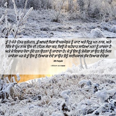 Picture 06 - 1 ਇਤਿਹਾਸ 28:9 PANIRV - ਤੂੰ ਹੇ ਮੇਰੇ ਪੁੱਤਰ - Bible Verse Picture