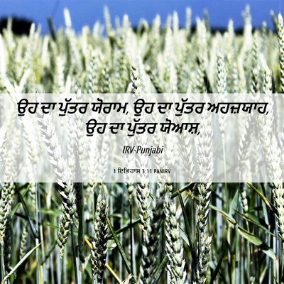 Picture 06 - 1 ਇਤਿਹਾਸ 3:11 PANIRV - ਉਹ ਦਾ ਪੁੱਤਰ ਯੋਰਾਮ, - Bible Verse Picture
