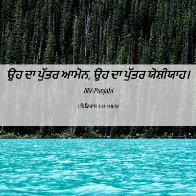 Picture 06 - 1 ਇਤਿਹਾਸ 3:14 PANIRV - ਉਹ ਦਾ ਪੁੱਤਰ ਆਮੋਨ, - Bible Verse Picture