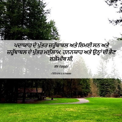 Picture 06 - 1 ਇਤਿਹਾਸ 3:19 PANIRV - ਪਦਾਯਾਹ ਦੇ ਪੁੱਤਰ - Bible Verse Picture