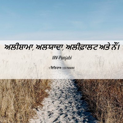 Picture 06 - 1 ਇਤਿਹਾਸ 3:8 PANIRV - ਅਲੀਸ਼ਾਮਾ, ਅਲਯਾਦਾ, - Bible Verse Picture
