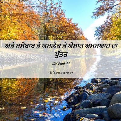 Picture 06 - 1 ਇਤਿਹਾਸ 4:34 PANIRV - ਅਤੇ ਮਸ਼ੋਬਾਬ ਤੇ - Bible Verse Picture