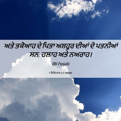 Picture 06 - 1 ਇਤਿਹਾਸ 4:5 PANIRV - ਅਤੇ ਤਕੋਆਹ ਦੇ ਪਿਤਾ - Bible Verse Picture