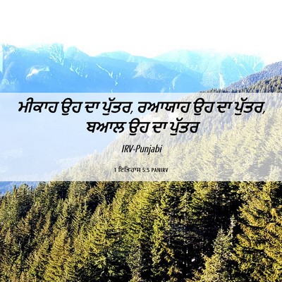 Picture 06 - 1 ਇਤਿਹਾਸ 5:5 PANIRV - ਮੀਕਾਹ ਉਹ ਦਾ ਪੁੱਤਰ, - Bible Verse Picture