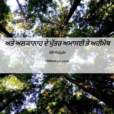 Picture 06 - 1 ਇਤਿਹਾਸ 6:25 PANIRV - ਅਤੇ ਅਲਕਾਨਾਹ ਦੇ - Bible Verse Picture