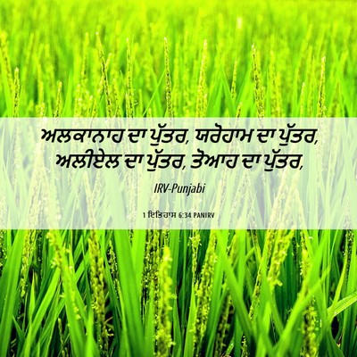 Picture 06 - 1 ਇਤਿਹਾਸ 6:34 PANIRV - ਅਲਕਾਨਾਹ ਦਾ ਪੁੱਤਰ, - Bible Verse Picture
