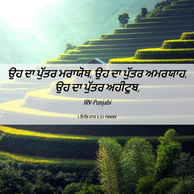 Picture 06 - 1 ਇਤਿਹਾਸ 6:52 PANIRV - ਉਹ ਦਾ ਪੁੱਤਰ ਮਰਾਯੋਥ, - Bible Verse Picture