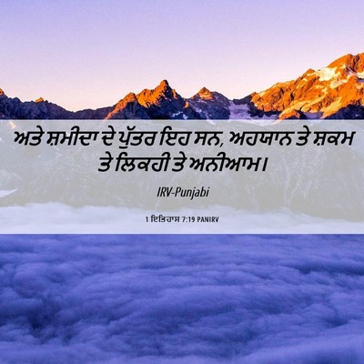 Picture 06 - 1 ਇਤਿਹਾਸ 7:19 PANIRV - ਅਤੇ ਸ਼ਮੀਦਾ ਦੇ - Bible Verse Picture
