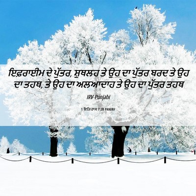 Picture 06 - 1 ਇਤਿਹਾਸ 7:20 PANIRV - ਇਫ਼ਰਾਈਮ ਦੇ ਪੁੱਤਰ, - Bible Verse Picture