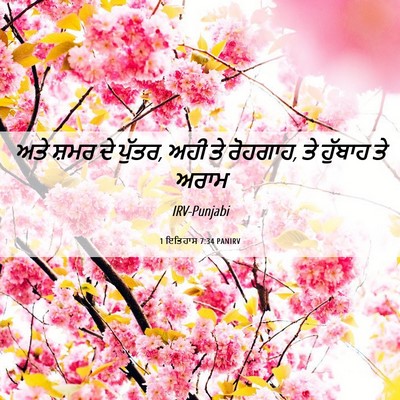 Picture 06 - 1 ਇਤਿਹਾਸ 7:34 PANIRV - ਅਤੇ ਸ਼ਮਰ ਦੇ ਪੁੱਤਰ, - Bible Verse Picture