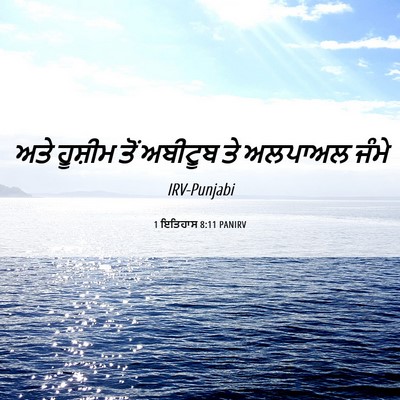 Picture 06 - 1 ਇਤਿਹਾਸ 8:11 PANIRV - ਅਤੇ ਹੂਸ਼ੀਮ ਤੋਂ - Bible Verse Picture