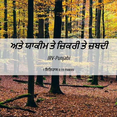 Picture 06 - 1 ਇਤਿਹਾਸ 8:19 PANIRV - ਅਤੇ ਯਾਕੀਮ ਤੇ - Bible Verse Picture