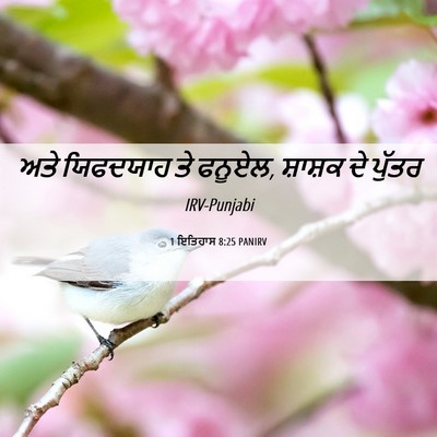 Picture 06 - 1 ਇਤਿਹਾਸ 8:25 PANIRV - ਅਤੇ ਯਿਫਦਯਾਹ ਤੇ - Bible Verse Picture