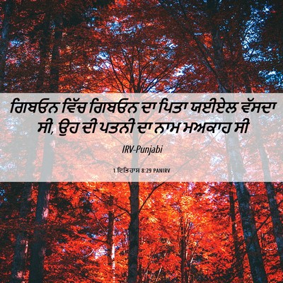 Picture 06 - 1 ਇਤਿਹਾਸ 8:29 PANIRV - ਗਿਬਓਨ ਵਿੱਚ ਗਿਬਓਨ - Bible Verse Picture