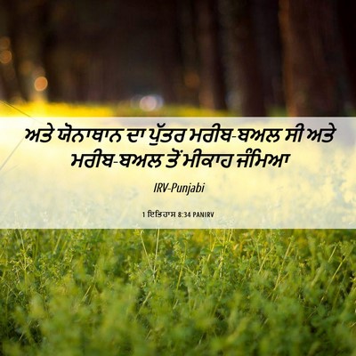 Picture 06 - 1 ਇਤਿਹਾਸ 8:34 PANIRV - ਅਤੇ ਯੋਨਾਥਾਨ ਦਾ - Bible Verse Picture