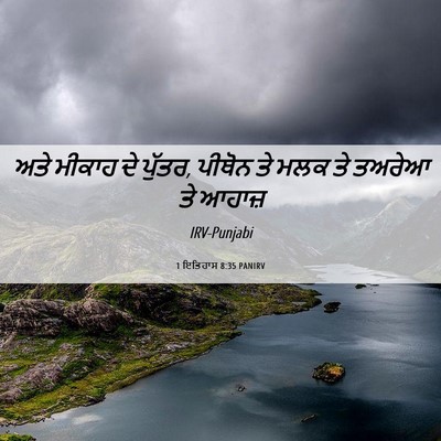 Picture 06 - 1 ਇਤਿਹਾਸ 8:35 PANIRV - ਅਤੇ ਮੀਕਾਹ ਦੇ ਪੁੱਤਰ, - Bible Verse Picture