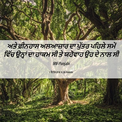 Picture 06 - 1 ਇਤਿਹਾਸ 9:20 PANIRV - ਅਤੇ ਫ਼ੀਨਹਾਸ - Bible Verse Picture