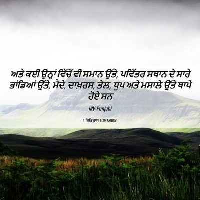 Picture 06 - 1 ਇਤਿਹਾਸ 9:29 PANIRV - ਅਤੇ ਕਈ ਉਨ੍ਹਾਂ - Bible Verse Picture