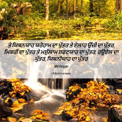 Picture 06 - 1 ਇਤਿਹਾਸ 9:8 PANIRV - ਤੇ ਯਿਬਨਯਾਹ ਯਰੋਹਾਮ - Bible Verse Picture