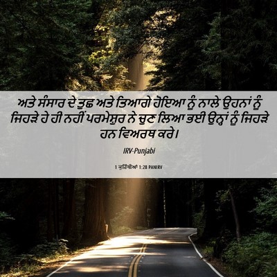Picture 06 - 1 ਕੁਰਿੰਥੀਆਂ 1:28 PANIRV - ਅਤੇ ਸੰਸਾਰ ਦੇ ਤੁਛ - Bible Verse Picture