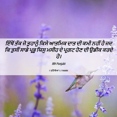 Picture 06 - 1 ਕੁਰਿੰਥੀਆਂ 1:7 PANIRV - ਇੱਥੋਂ ਤੱਕ ਜੋ - Bible Verse Picture