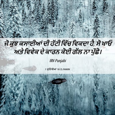 Picture 06 - 1 ਕੁਰਿੰਥੀਆਂ 10:25 PANIRV - ਜੋ ਕੁਝ ਕਸਾਈਆਂ ਦੀ - Bible Verse Picture