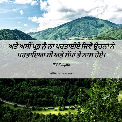 Picture 06 - 1 ਕੁਰਿੰਥੀਆਂ 10:9 PANIRV - ਅਤੇ ਅਸੀਂ ਪ੍ਰਭੂ ਨੂੰ - Bible Verse Picture