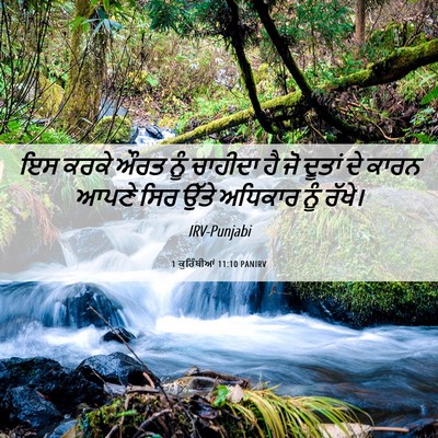 Picture 06 - 1 ਕੁਰਿੰਥੀਆਂ 11:10 PANIRV - ਇਸ ਕਰਕੇ ਔਰਤ ਨੂੰ - Bible Verse Picture