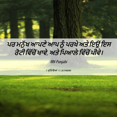 Picture 06 - 1 ਕੁਰਿੰਥੀਆਂ 11:28 PANIRV - ਪਰ ਮਨੁੱਖ ਆਪਣੇ ਆਪ - Bible Verse Picture