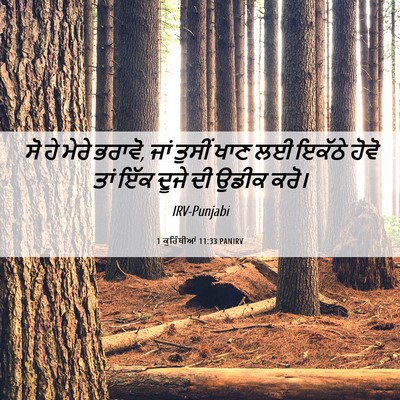 Picture 06 - 1 ਕੁਰਿੰਥੀਆਂ 11:33 PANIRV - ਸੋ ਹੇ ਮੇਰੇ ਭਰਾਵੋ, - Bible Verse Picture