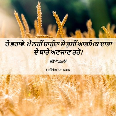 Picture 06 - 1 ਕੁਰਿੰਥੀਆਂ 12:1 PANIRV - ਹੇ ਭਰਾਵੋ, ਮੈਂ ਨਹੀਂ - Bible Verse Picture