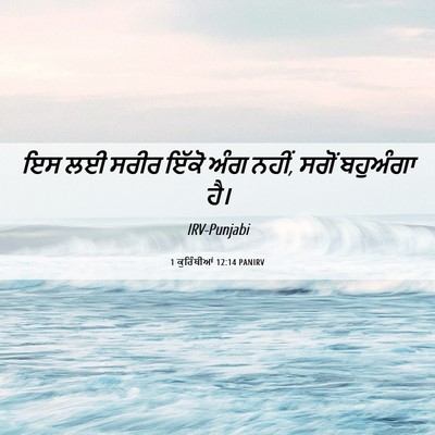 Picture 06 - 1 ਕੁਰਿੰਥੀਆਂ 12:14 PANIRV - ਇਸ ਲਈ ਸਰੀਰ ਇੱਕੋ ਅੰਗ - Bible Verse Picture