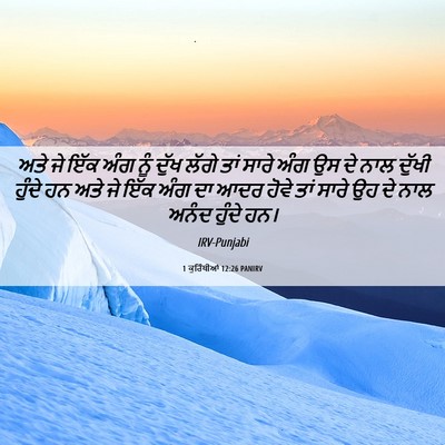Picture 06 - 1 ਕੁਰਿੰਥੀਆਂ 12:26 PANIRV - ਅਤੇ ਜੇ ਇੱਕ ਅੰਗ ਨੂੰ - Bible Verse Picture