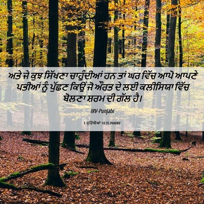 Picture 06 - 1 ਕੁਰਿੰਥੀਆਂ 14:35 PANIRV - ਅਤੇ ਜੇ ਕੁਝ ਸਿੱਖਣਾ - Bible Verse Picture