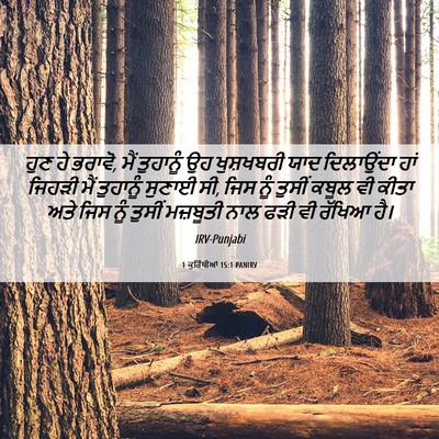 Picture 06 - 1 ਕੁਰਿੰਥੀਆਂ 15:1 PANIRV - ਹੁਣ ਹੇ ਭਰਾਵੋ, ਮੈਂ - Bible Verse Picture