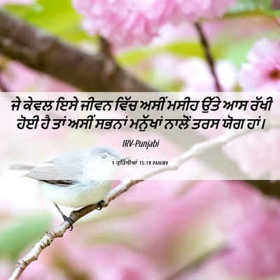 Picture 06 - 1 ਕੁਰਿੰਥੀਆਂ 15:19 PANIRV - ਜੇ ਕੇਵਲ ਇਸੇ ਜੀਵਨ - Bible Verse Picture
