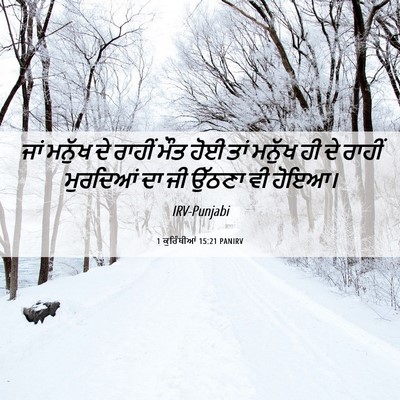 Picture 06 - 1 ਕੁਰਿੰਥੀਆਂ 15:21 PANIRV - ਜਾਂ ਮਨੁੱਖ ਦੇ ਰਾਹੀਂ - Bible Verse Picture
