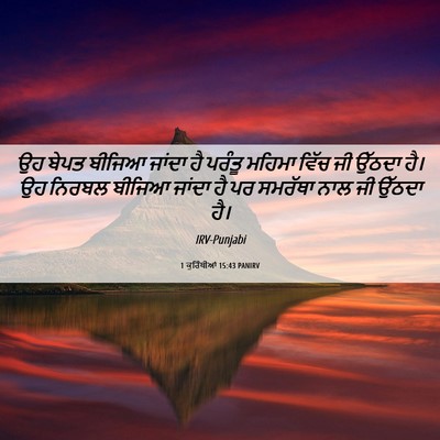 Picture 06 - 1 ਕੁਰਿੰਥੀਆਂ 15:43 PANIRV - ਉਹ ਬੇਪਤ ਬੀਜਿਆ - Bible Verse Picture