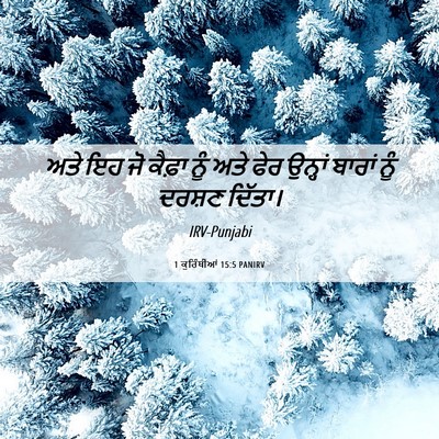 Picture 06 - 1 ਕੁਰਿੰਥੀਆਂ 15:5 PANIRV - ਅਤੇ ਇਹ ਜੋ ਕੈਫ਼ਾ ਨੂੰ - Bible Verse Picture
