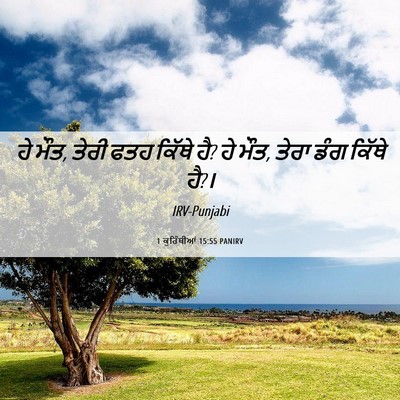 Picture 06 - 1 ਕੁਰਿੰਥੀਆਂ 15:55 PANIRV - ਹੇ ਮੌਤ, ਤੇਰੀ ਫਤਹ - Bible Verse Picture