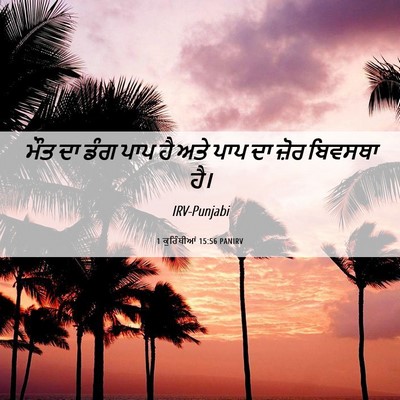 Picture 06 - 1 ਕੁਰਿੰਥੀਆਂ 15:56 PANIRV - ਮੌਤ ਦਾ ਡੰਗ ਪਾਪ ਹੈ - Bible Verse Picture