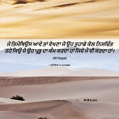 Picture 06 - 1 ਕੁਰਿੰਥੀਆਂ 16:10 PANIRV - ਜੇ ਤਿਮੋਥਿਉਸ ਆਵੇ - Bible Verse Picture