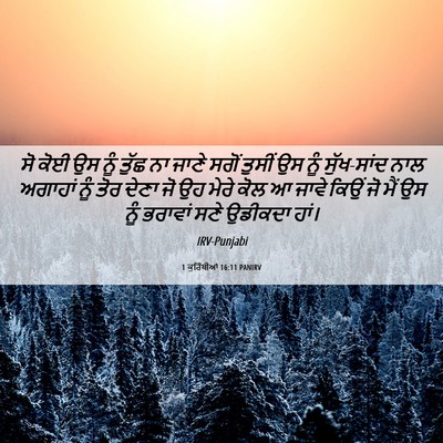 Picture 06 - 1 ਕੁਰਿੰਥੀਆਂ 16:11 PANIRV - ਸੋ ਕੋਈ ਉਸ ਨੂੰ ਤੁੱਛ - Bible Verse Picture