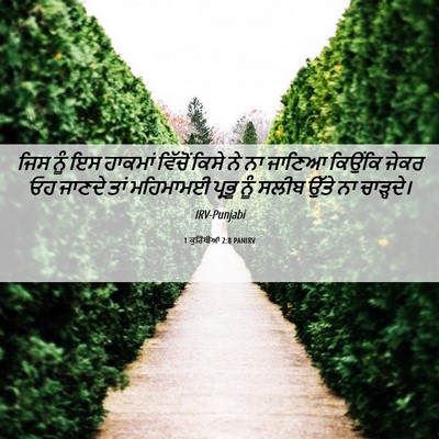 Picture 06 - 1 ਕੁਰਿੰਥੀਆਂ 2:8 PANIRV - ਜਿਸ ਨੂੰ ਇਸ ਹਾਕਮਾਂ - Bible Verse Picture